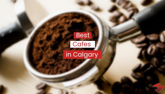 Best Cafes In Calgary  2023