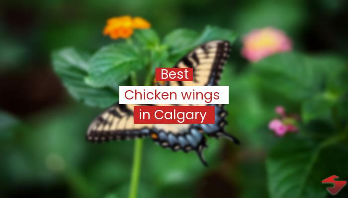 Best Chicken Wings In Calgary  2023