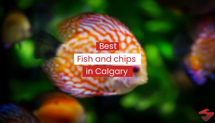 Best Fish And Chips In Calgary  2023