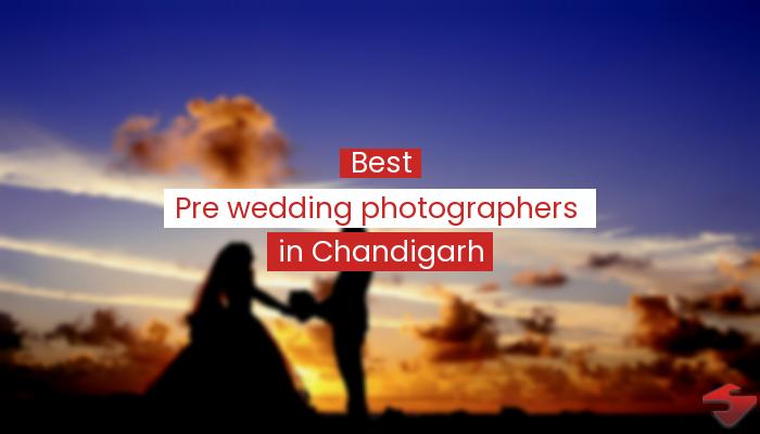 Best Pre Wedding Photographers In Chandigarh