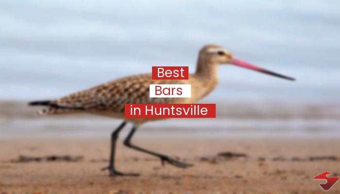 Best Bars In Huntsville  2023