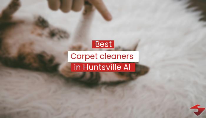 Best Carpet Cleaners In Huntsville Al  2023