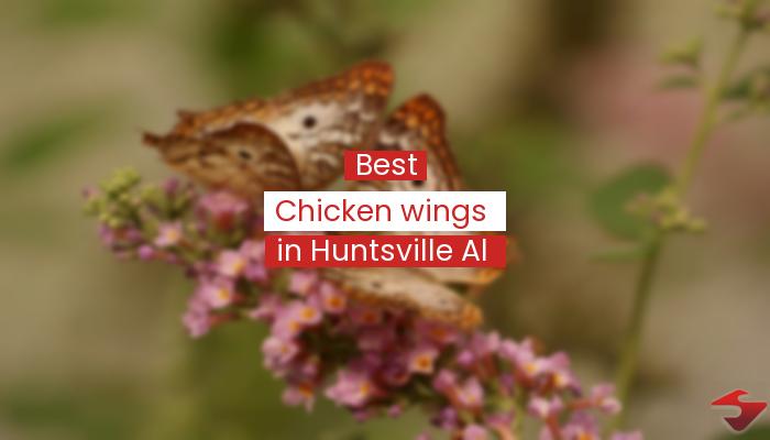 Best Chicken Wings In Huntsville Al  2023