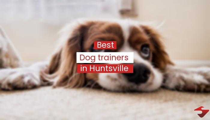 Best Dog Trainers In Huntsville  2023